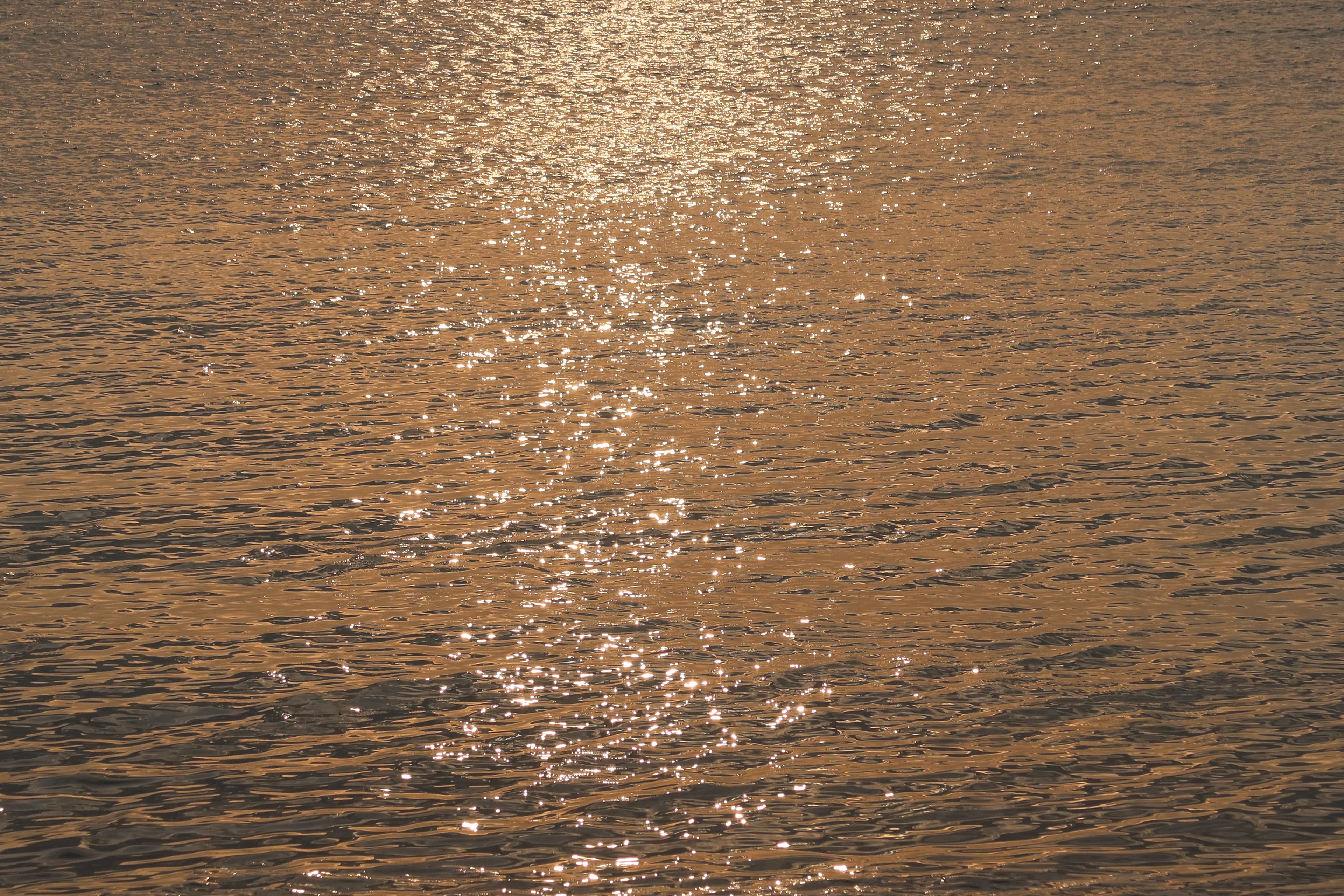 Ocean view
