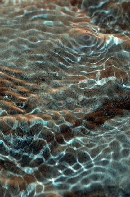 Peaceful water representing transformation